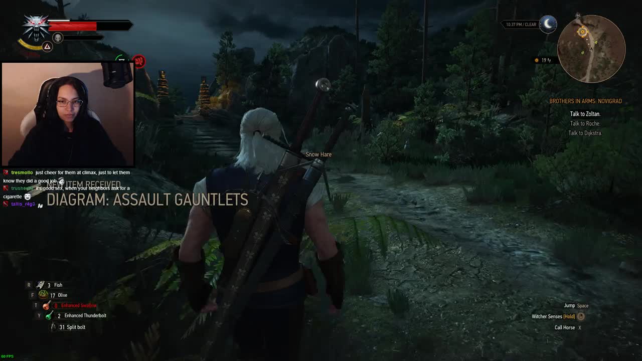 witcher 3 brother in arms